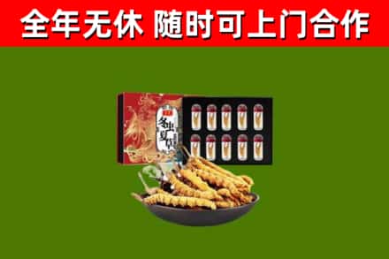 社旗回收冬虫夏草价格
