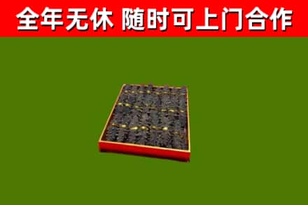 社旗回收海参